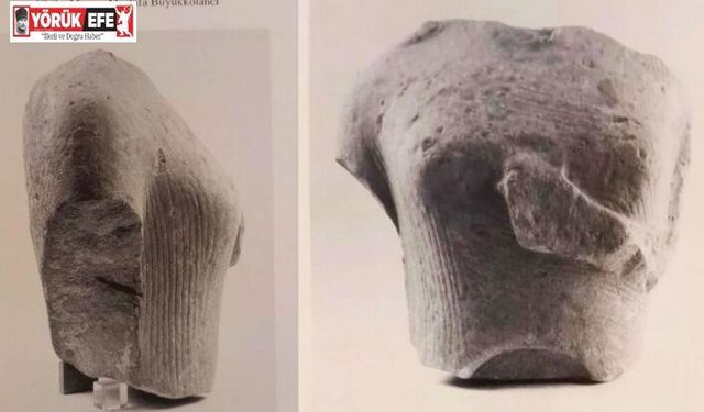 Doğaseverler Yılancıburnu’nun önemine dikkat çekti