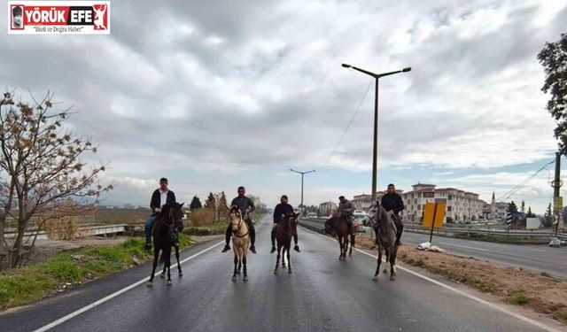 İncirliova’da Rahvan atları yarışlara hazırlanıyor