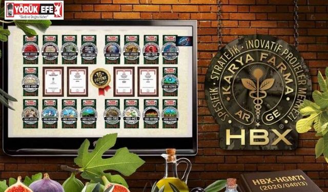 Karya Farma HBX Ar-Ge; ’İncir ve Zeytin Bilimsel Araştırmalar Akademisi’ kuracak