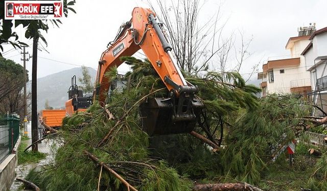 KUŞADASI BELEDİYESİ EKİPLERİ OLASI BİR FACİANIN ÖNÜNE GEÇTİ