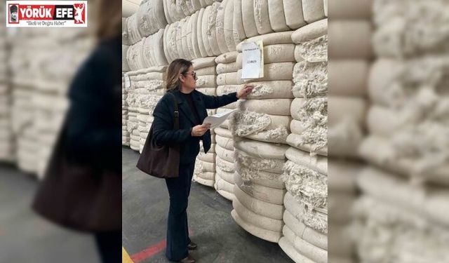 Söke 1 yılda 42 ülkeye ihracat yapıldı