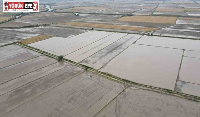 Söke’nin 2026 yılı ürün deseni belli oldu