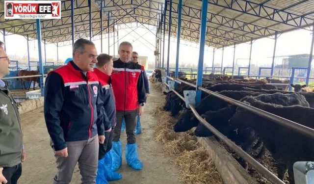 Devlet desteğiyle işini büyüten işletmeler incelendi