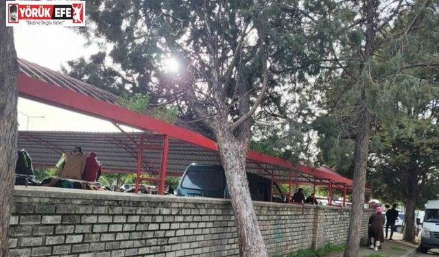 Efekent Pazaryeri’nde rüzgar ağacı devirdi