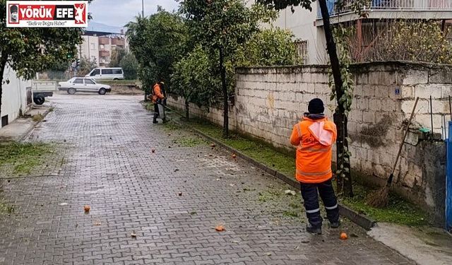 EFELER BELEDİYESİ’NDEN UMURLU’YA  KAPSAMLI TEMİZLİK VE BAKIM ÇALIŞMASI