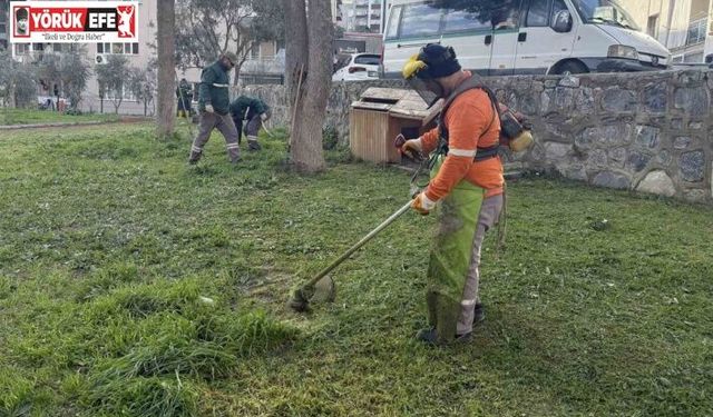Kuşadası Belediyesi daha temiz ve daha yeşil bir kent için çalışıyor