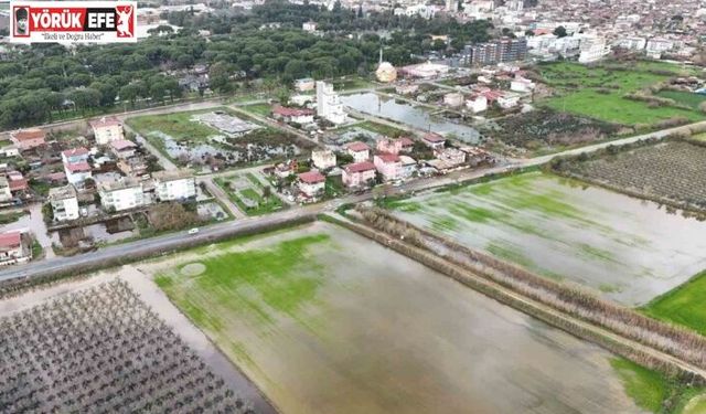 Nazilli’de mahalle sular altında kaldı, ekipler anında müdahale etti