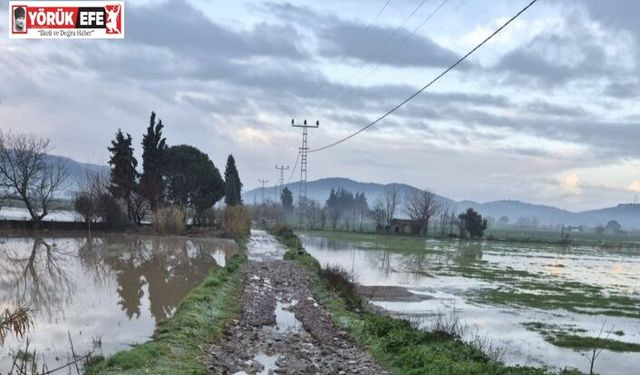 Söke’de aşırı yağışlar sonrası tarım alanlarında hasar tespiti