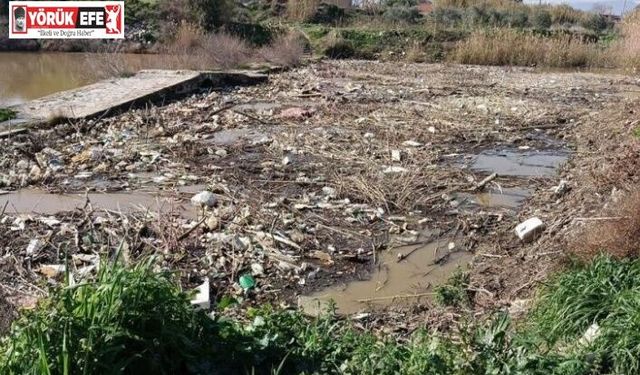 Tarihi taş köprü temizlendi, doğaseverler "yüzer bariyer" istedi