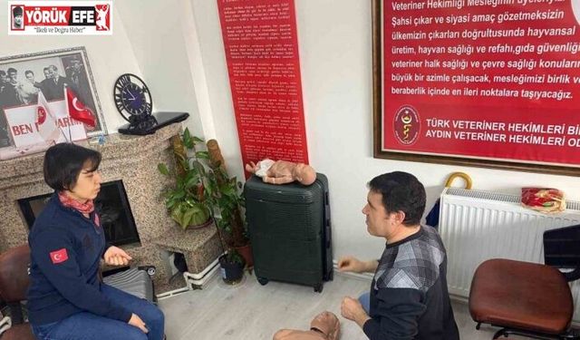 Veteriner hekimlere ilkyardım eğitimi
