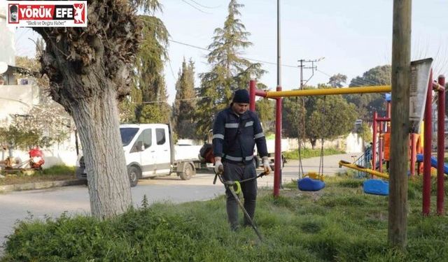 Aydın Büyükşehir’den Koçarlı’ya ’yeşil’ dokunuş