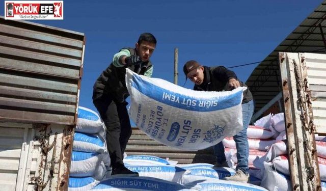 Aydın Büyükşehir’in yem desteği devam ediyor