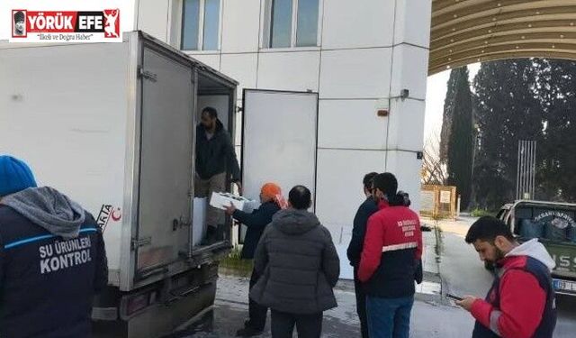 Aydın’da nakil belgesiz 290 kasa balığa el konuldu