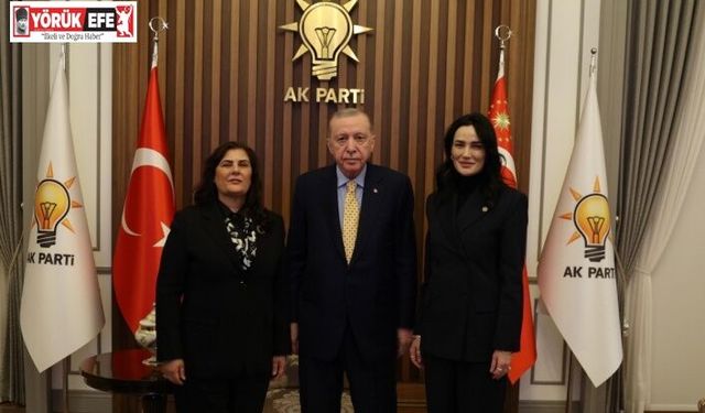 Başkan Çerçioğlu, Cumhurbaşkanı Erdoğan ile görüştü