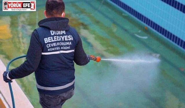 Didim’de vektörle mücadele dört mevsim sürüyor