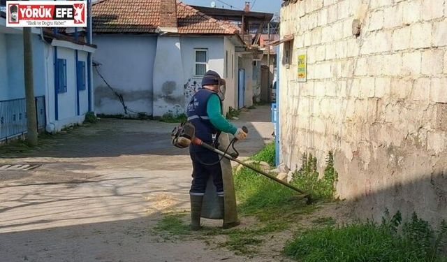 Efeler Belediyesi’nin yeşil alan çalışmaları sürüyor