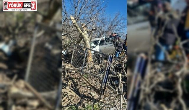 Kontrolden çıkan otomobil ağaçlara ok gibi saplandı: 2 ölü, 1 ağır yaralı