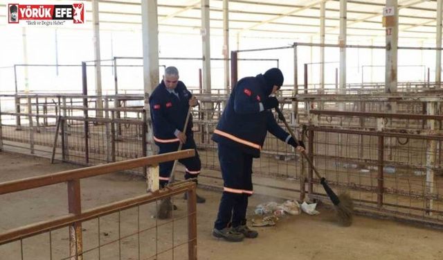 Nazilli Hayvan Pazarı 7 ay sonra yeniden açılıyor