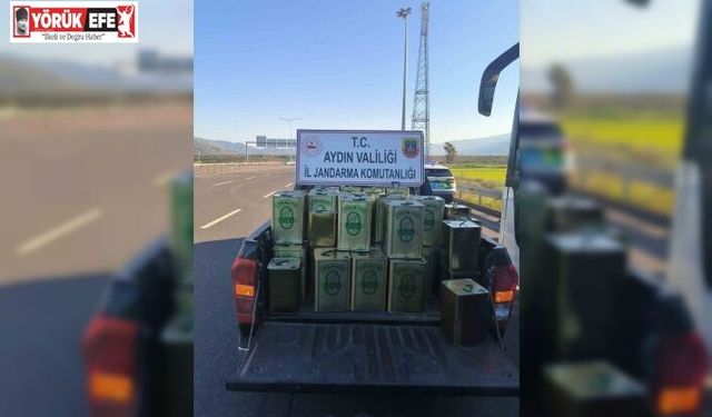 Nazilli’de 1 milyon TL değerinde taklit zeytinyağı ele geçirildi