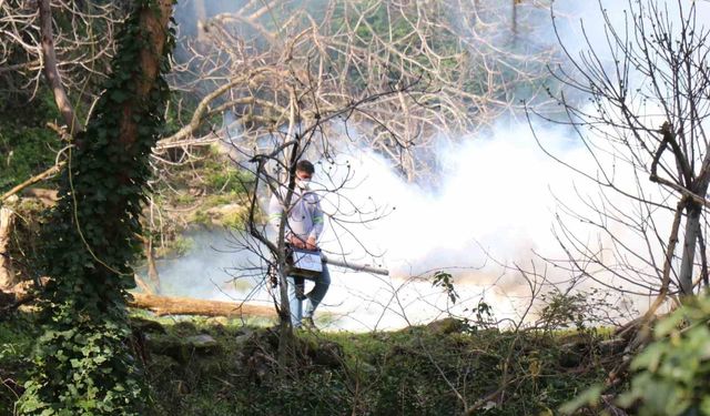 Bozdoğan Belediyesi ilaçlama çalışmalarını aralıksız sürdürüyor