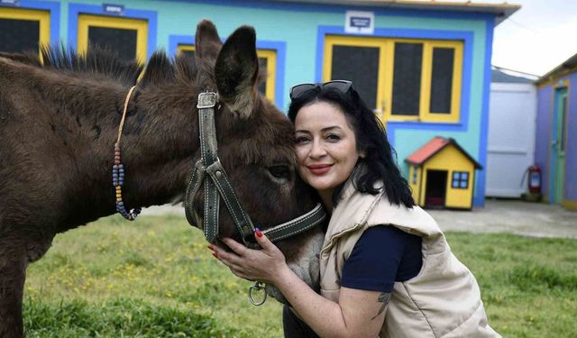 Kuşadası'ndan saplandığı çamurdan kurtarılan eşek koruma altına alındı