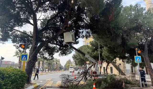 Aydın'ın en işlek noktasına estetik dokunuş