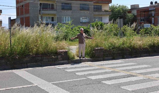Nazilli Belediye Başkanı Tetik: 'Bu görüntüler Nazilli'ye yakışmıyor'