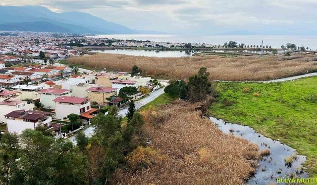 (SABAH)Kocagöl Lagünü'nün statüsünün belirlenmesi için 'Ön Değerlendirme Ekibi' kurulacak