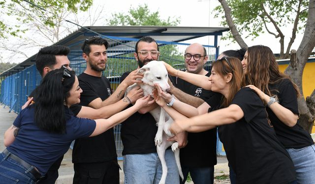 KUŞADASI’NDA CAN DOSTLARINA DEV DESTEK" 3 TON MAMA BAĞIŞI"