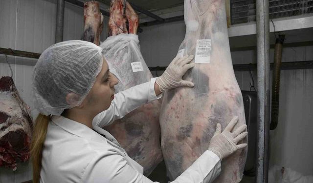 Aydın'da kurban kesim fiyatları açıklandı