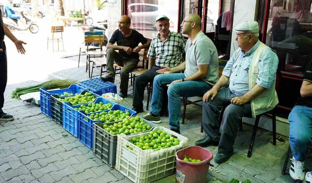 Aydın'da ilek pazarında fiyatlar her saat değişiyor