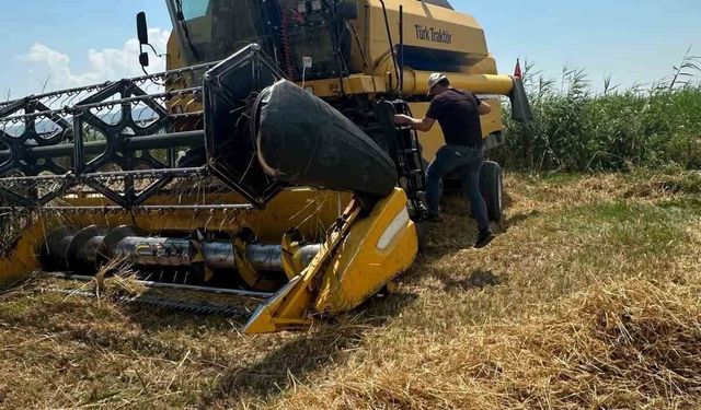 Köşk'te hububat hasadında dane kaybına karşı sıkı denetim