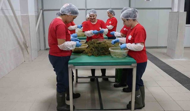 TARIMSAL ÜRÜN FABRİKASI İLE KADINLARLAR ÜRETİYOR EFELER KAZANIYOR
