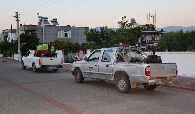 Bozdoğan Belediyesi Sahada"İlaçlama Çalışmaları Başladı"