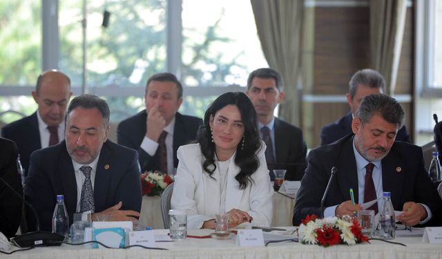 AK Partili Sarıbaş Ankara'daki İstişare Toplantısına Katıldı