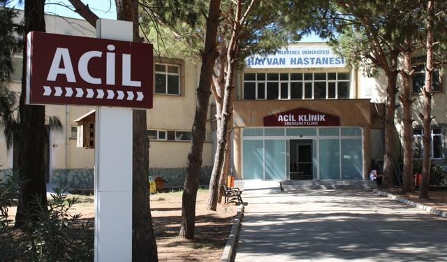 ADÜ Hayvan Hastanesi'nde online randevu dönemi başladı