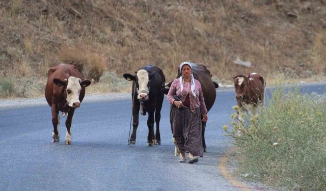 Alevlerden kaçtılar, hayvanlarını ve kendi canlarını zor kurtardılar