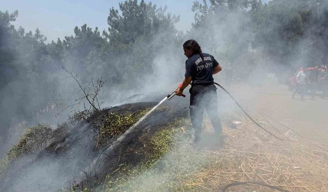 Aydın Büyükşehir İtfaiyesi 8 günde 445 yangına müdahale etti