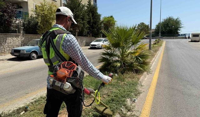 Aydın Büyükşehir'den Çeştepe'de park ve yeşil alanlara bakım