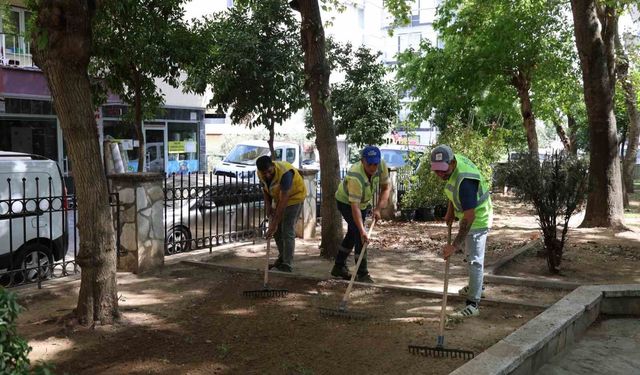 Aydın Büyükşehir'den Gençlik Parkı'nda kapsamlı bakım çalışması