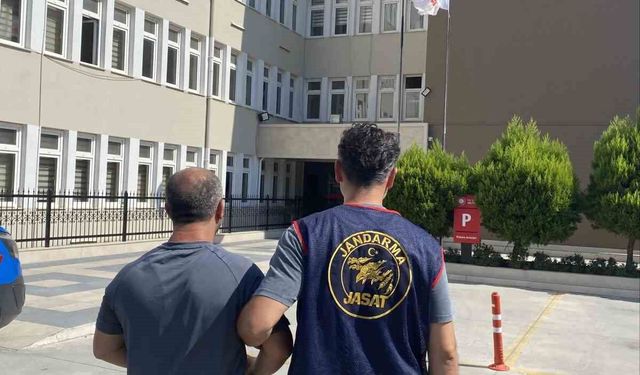 Aydın'da aranan 3 hükümlü jandarmadan kaçamadı