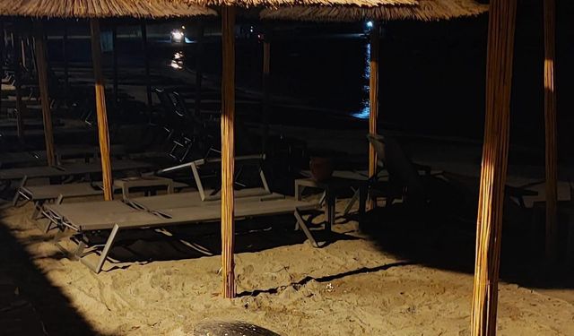 Aydın'ın Kuşadası ve Didim kıyılarında caretta hareketliliği