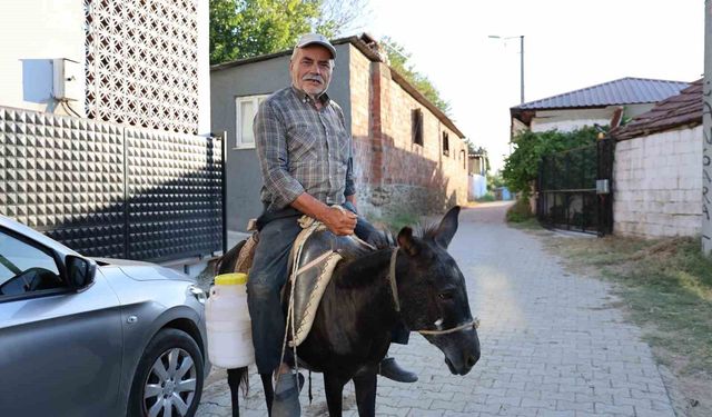 Ayhan amca yokluktan değil, sürücü belgesi olmadığından eşeği ile servis yapıyor