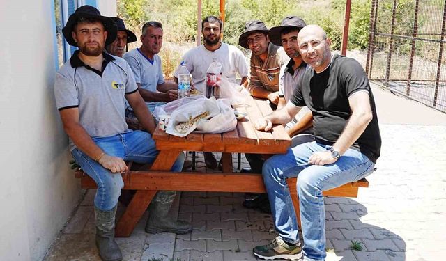 Başkan Zencirci'den Sokak Hayvanları Rehabilitasyon Merkezi'ne inceleme