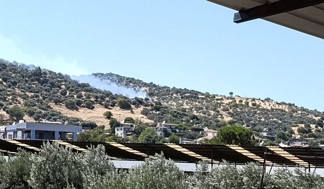 Bozdoğan'da zirai alan yangını