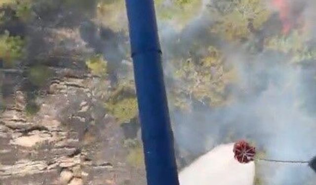 Bozdoğan'daki orman yangını ekiplerin hızlı müdahalesi ile kontrol altına alındı