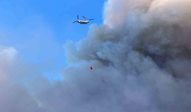 Çine orman yangınına 4 helikopter 2 uçak havadan müdahale ediyor