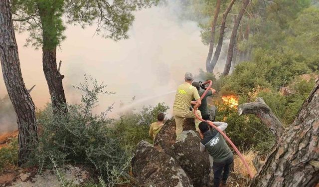Çine yangınına müdahale ikinci günde sürüyor