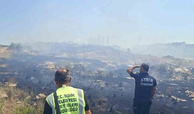 Didim Belediyesi'nden arazi yangınına 'tanker' desteği