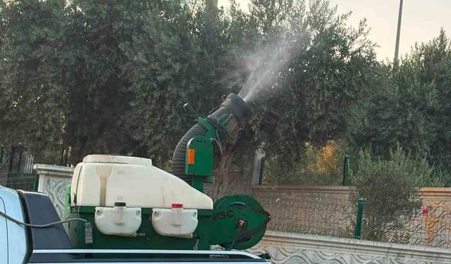 Didim'de halk sağlığı için ilaçlama seferberliği